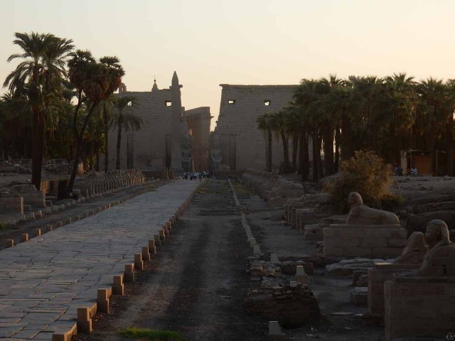 Luxor Tempel Sphinxallee