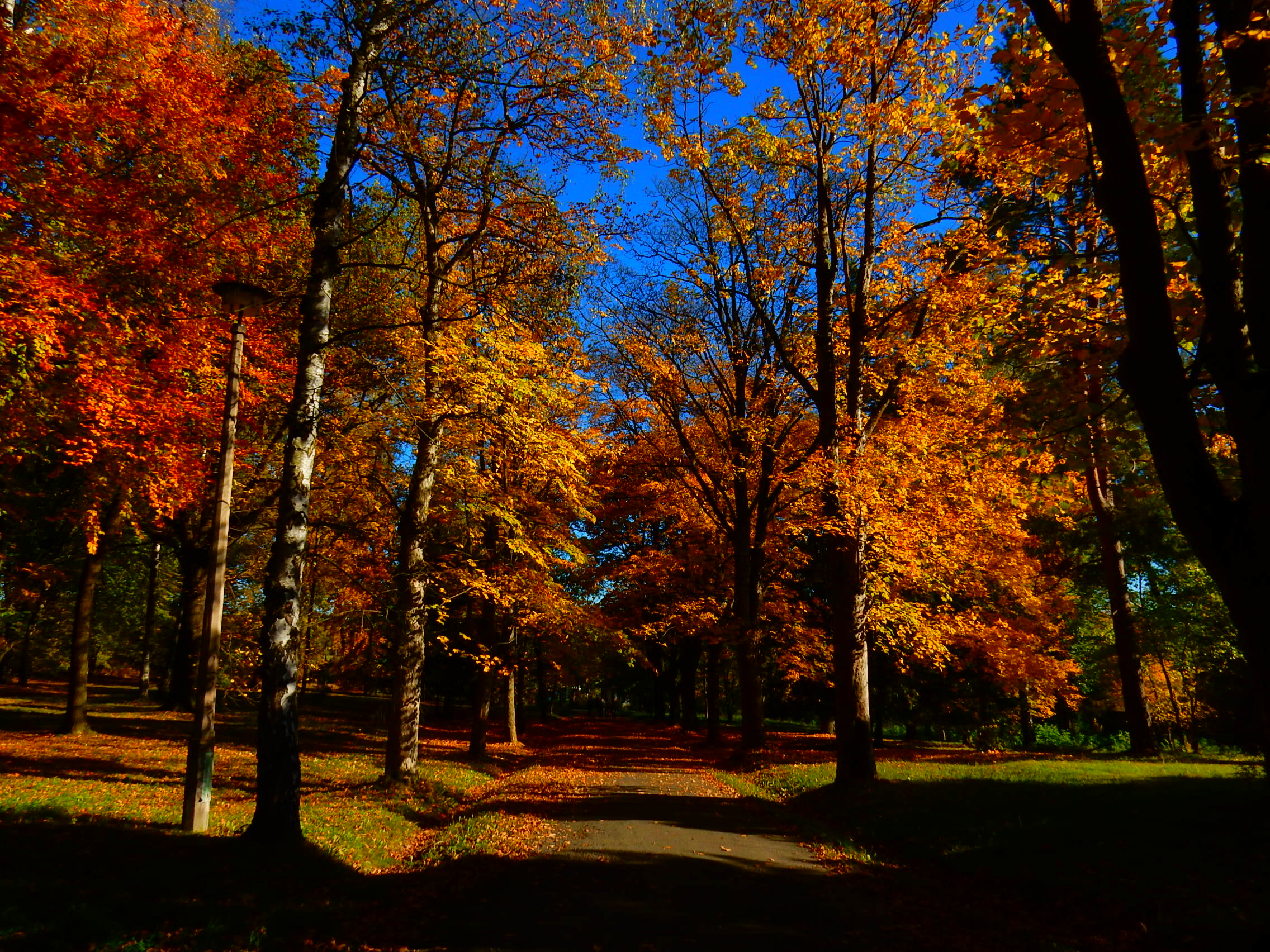 Deutschland Schlosspark Hummelshain Herbst 2017