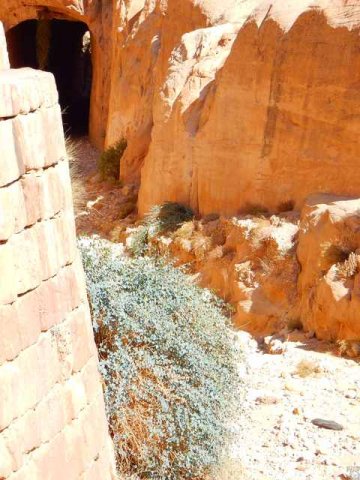 Petra Tunnel vor dem Siq