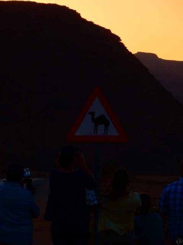 Wadi Rum Zufahrt