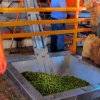 Adschlun Oliven Ölmühle