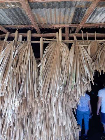 Cuba Real Palmenwedel als Wände