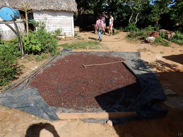 Vinales Cafe