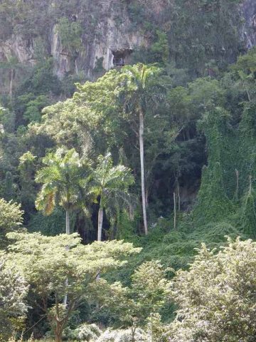 Vinales Höhlenkomplex Santo Tomás