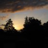 IMG_7448