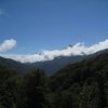 IMG_8155