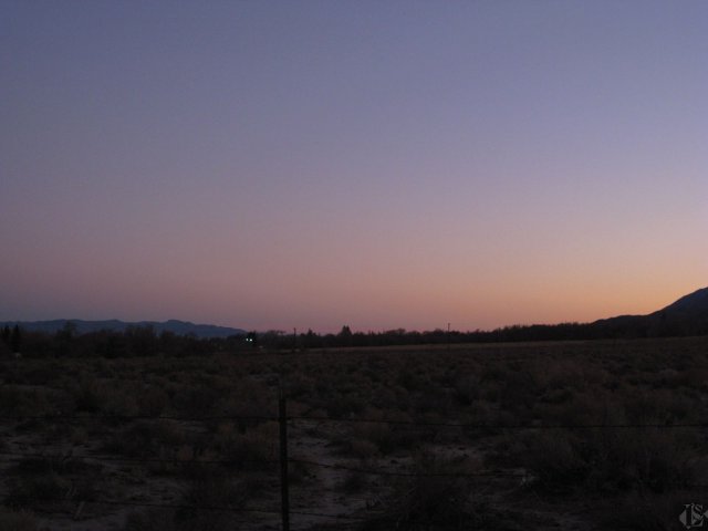 IMG_9455