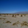 IMG_9517